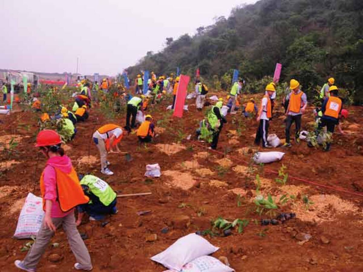 失われた緑を取り戻せ 日本企業 植樹活動の今 15年4月18日 エキサイトニュース