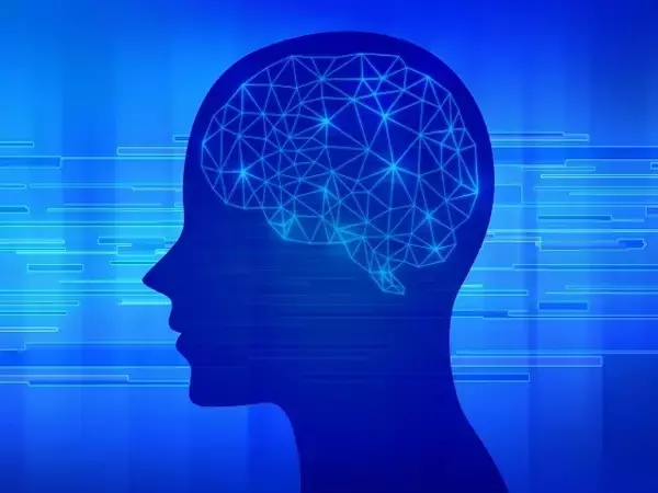 「理研、海馬から大脳新皮質への記憶転送の仕組みを解明」の画像
