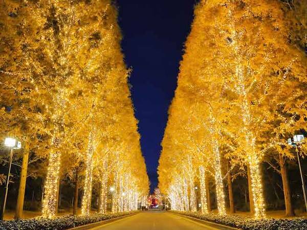 2020年の冬を彩る関西イルミネーション 光の鉄道から 今年ならではのar開催も 2020年11月29日 エキサイトニュース