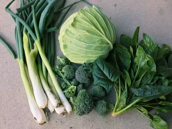 コロナ禍、一次産品、産直EC販売が拡大。飲食店不況下での販路開拓、IT化進む