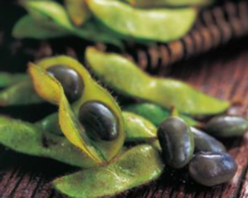 京丹波町と積水ハウス、クラダシが食品ロス削減プロジェクトで連携。京丹波の魅力をPR