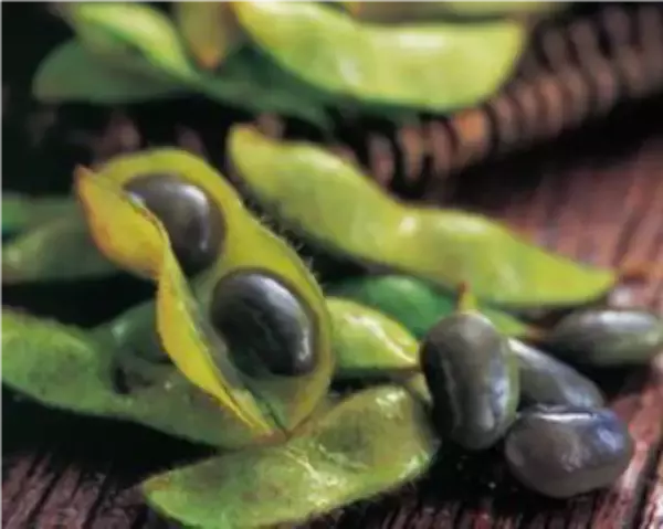 京丹波町と積水ハウス、クラダシが食品ロス削減プロジェクトで連携。京丹波の魅力をPR