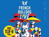 「Renault Japon、フレンチブルドックとオーナーが共存するイベント「French Bulldog LIVE」に今年も協賛」の画像1