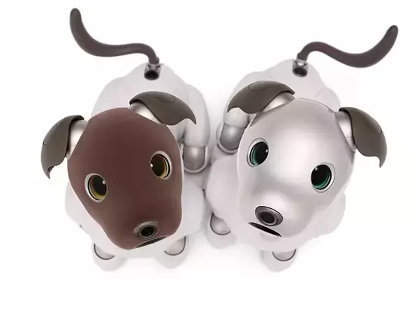 ロボットはなぜ売り切りでなくなったのか　ソニー「aibo」が示す関係性の経済圏