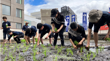 銀座の屋上田んぼが20年で幕　都市農業が残した「体験価値」とは