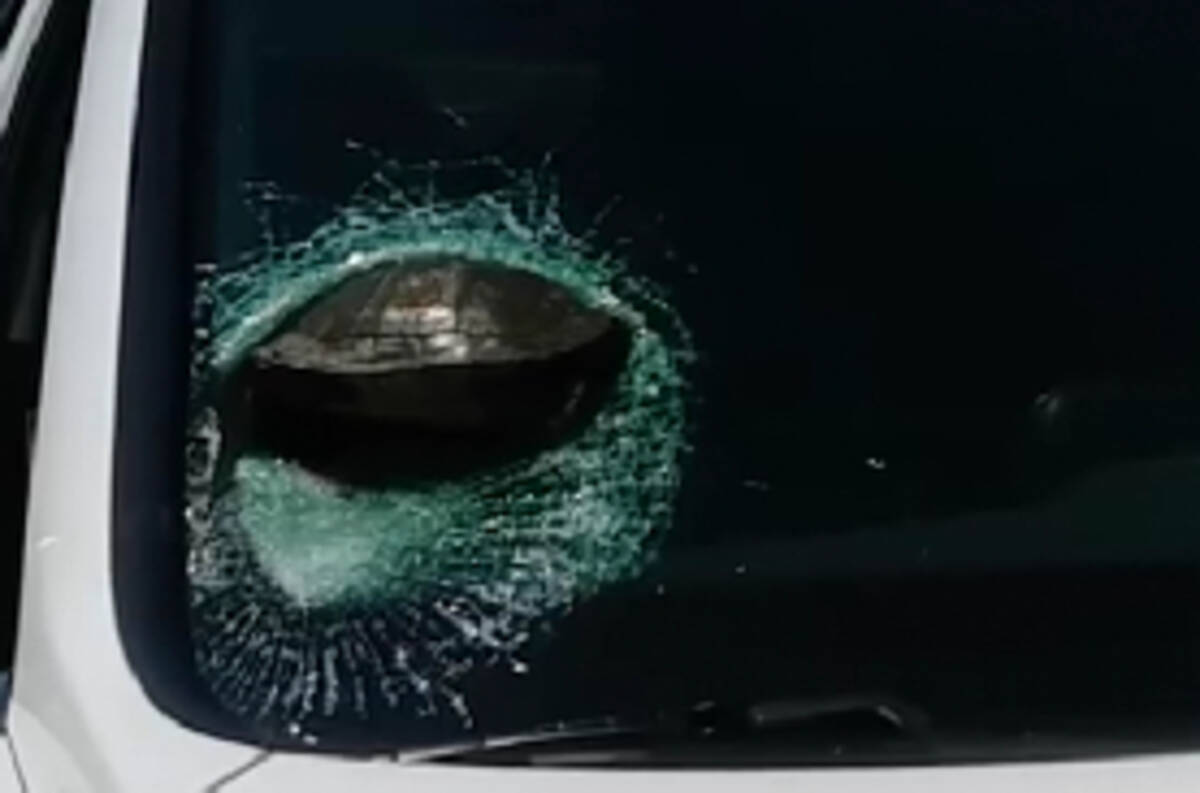 車を運転していたら突然カメが飛んできてフロントガラスにぶっ刺さる 年5月31日 エキサイトニュース