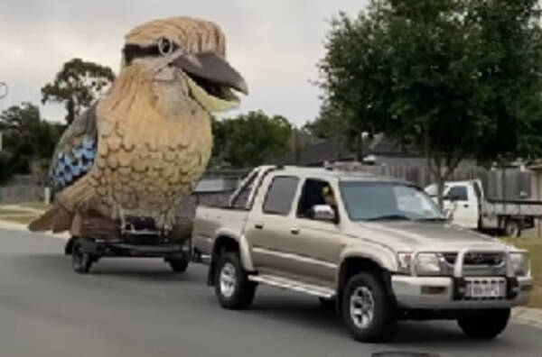 でっけええ オーストラリアの芸術家が超ビッグサイズの鳥を製作 コロナで落ち込んだ人を元気に 年5月31日 エキサイトニュース