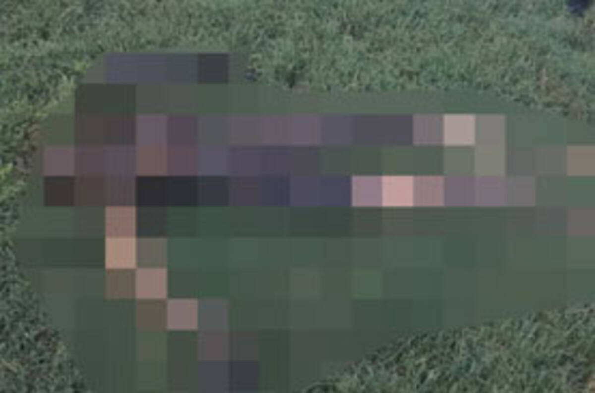 偽物だけど閲覧注意 死体を見つけたとの通報 実はラブドールだった 年9月13日 エキサイトニュース