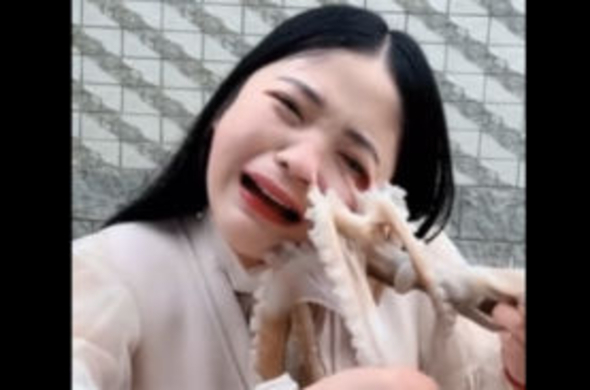 タコの踊り食いをする少女に何がおきたのか 16年5月23日 エキサイトニュース