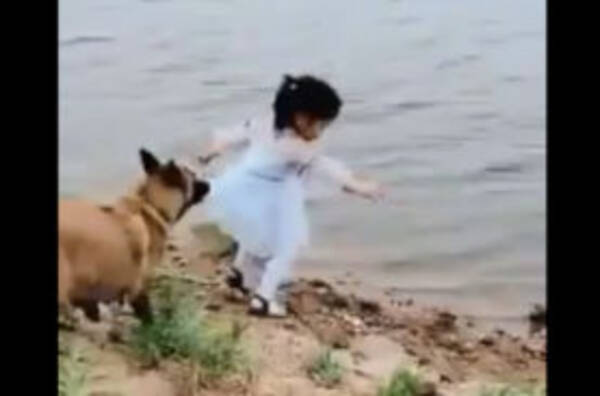 これぞ忠誠心 ボールを取りに川に近づく少女を危険から守るワンコの動画が話題に 19年6月25日 エキサイトニュース