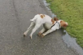 17歳のインフルエンサーが首を切られて死亡 容疑者の恋人が遺体をsnsに投稿 19年7月16日 エキサイトニュース