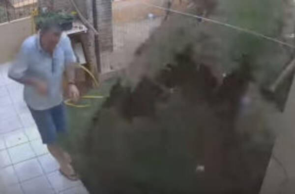 Image result for ブラジル人、ゴキブリ駆除のため庭を爆破する