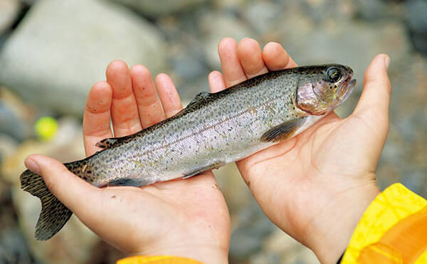 おとなの週末 家族や友人と楽しむ 美味しい釣り へ行こう ニジマス釣り バーベキュー 17年8月29日 エキサイトニュース おとなの週末 家族や友人と楽しむ 美味しい釣り へ行こう ニジマス釣り バーベキュー 17年8月29日 エキサイトニュース
