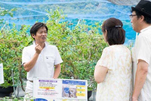 愛知岡崎で果物狩り ひと夏で1万人の観光客が訪れる ブルーベリーファームおかざき の魅力 年6月5日 エキサイトニュース