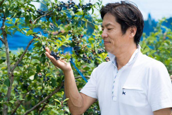 愛知岡崎で果物狩り ひと夏で1万人の観光客が訪れる ブルーベリーファームおかざき の魅力 年6月5日 エキサイトニュース 4 9