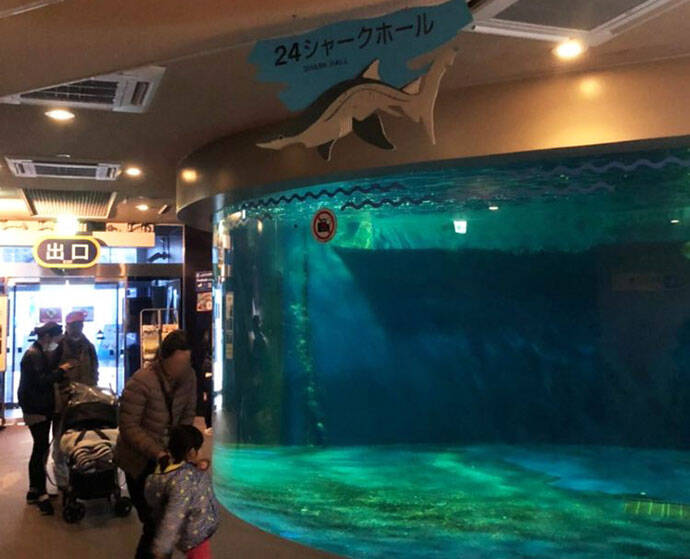 しながわ水族館を楽しむ2つのデートプラン 予算やみどころを解説します 年4月1日 エキサイトニュース 5 10 しながわ水族館を楽しむ2つのデートプラン 予算やみどころを解説します 年4月1日 エキサイトニュース 5 10
