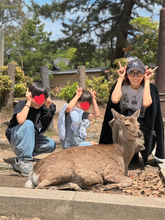 安田美沙子、長男バースデー旅行で奈良満喫「しかさん そんな遠い目しないで笑」