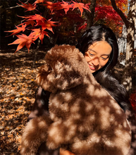 Koki,「ルンちゃんとの幸せ時間」、愛犬と紅葉バックにリラックス笑顔