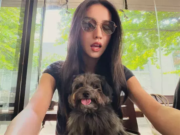 Koki,、カフェでくつろぐ愛犬たちとの2ショット公開「カフェタイムが大好きな犬達」