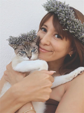 吉川ひなの、子どもたちが保護した猫との新生活を報告「しばらく賑やかになりそう」