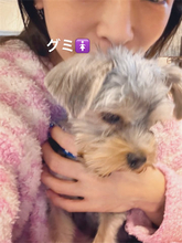 「我が家に赤ちゃんが2人増えて」浜崎あゆみが可愛すぎる“家族”を紹介「これからよろしくね」