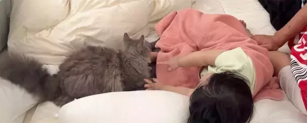 川崎希、次女・グーちゃんが泣くと駆けつける愛猫にメロメロ「気がつくとだいたい隣にいる」