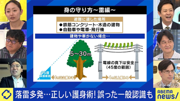 関東でゲリラ豪雨、雷から身を守る方法は？「建物や車に逃げることを第一優先」