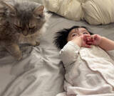 「川崎希、生後7カ月次女をあやす愛猫に感動「まるで子守役みたい」」の画像1