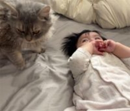 川崎希、生後7カ月次女をあやす愛猫に感動「まるで子守役みたい」