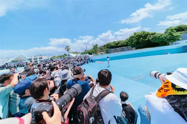 神々しい“えなこウォール”に4000人が熱狂！真夏の『Muse撮影会』レポート【写真55点】