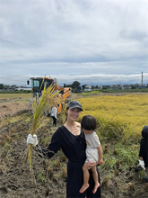 橋本マナミ、親子で稲刈り体験in新潟「息子は取り憑かれたように黙々と」
