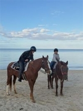 ヨンア、9歳息子と沖縄満喫　ビーチで乗馬の親子ショットに「素敵で癒されます」