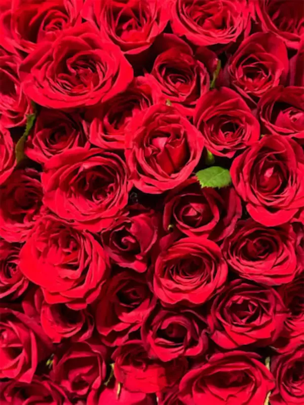 元Berryz工房・夏焼雅、結婚を発表「彼と新たな人生を共に過ごせる事が本当に幸せです」