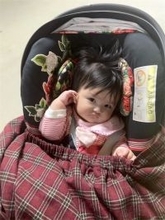 アレクサンダー、看板娘の次女・グーちゃん“かまって”ポーズ公開