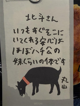 北斗晶、親友・丸山桂里奈から届いた手紙に困惑「未だに君が何を言いたいのか分からない」