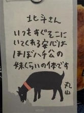 北斗晶、親友・丸山桂里奈から届いた手紙に困惑「未だに君が何を言いたいのか分からない」