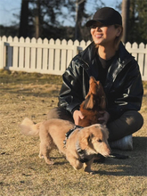 「毎日可愛いを連発」氷川きよし、愛犬と戯れる癒やしのお散歩ショット公開