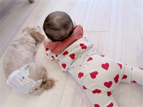 辻希美、床暖房でくつろぐ次女・夢空ちゃん＆愛犬にほっこり「あったかいねぇ わいいい」