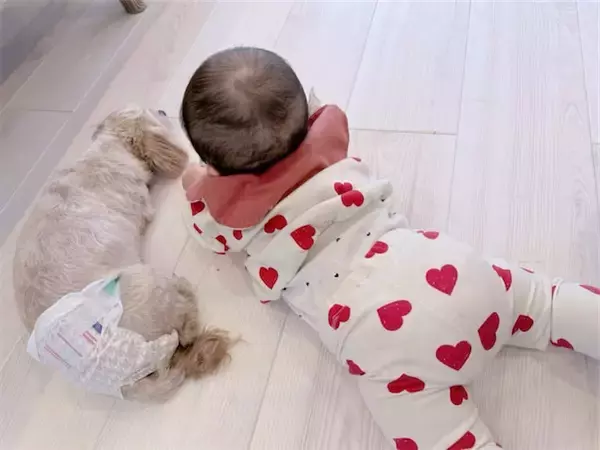 辻希美、床暖房でくつろぐ次女・夢空ちゃん＆愛犬にほっこり「あったかいねぇ わいいい」