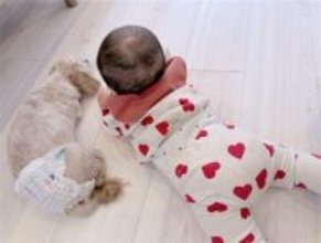 辻希美、床暖房でくつろぐ次女・夢空ちゃん＆愛犬にほっこり「あったかいねぇ わいいい」