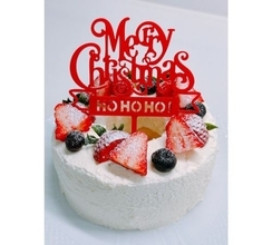 渡辺美奈代、DAISOの型で手作りクリスマスケーキ！