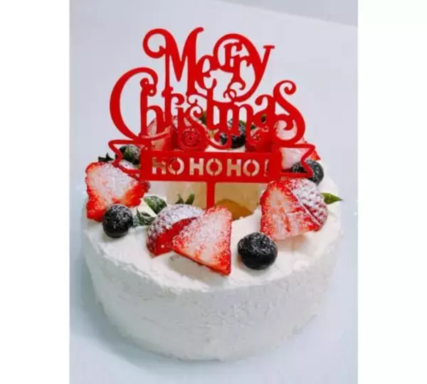 渡辺美奈代、DAISOの型で手作りクリスマスケーキ！