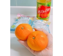 渡辺美奈代、旬の食材を使った手作りビネガー＆スイーツ披露