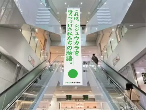 「東急不動産の本気が実った!?シジュウカラが表参道で巣作り」の画像