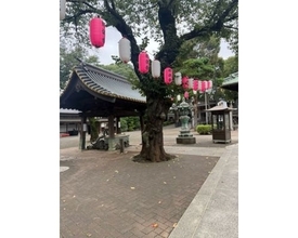 パンサー尾形の妻、不調で自宅休養「休息も必要だ。。」