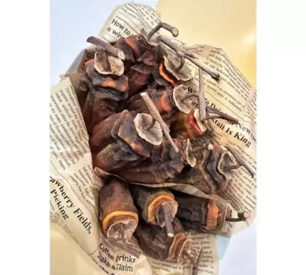 「研ナオコ、完成を心待ちにした兄夫婦手作りの冬の味覚に歓喜」の画像