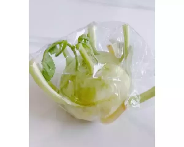 渡辺美奈代、珍しい野菜コールラビを初調理＆豪華手作り弁当公開