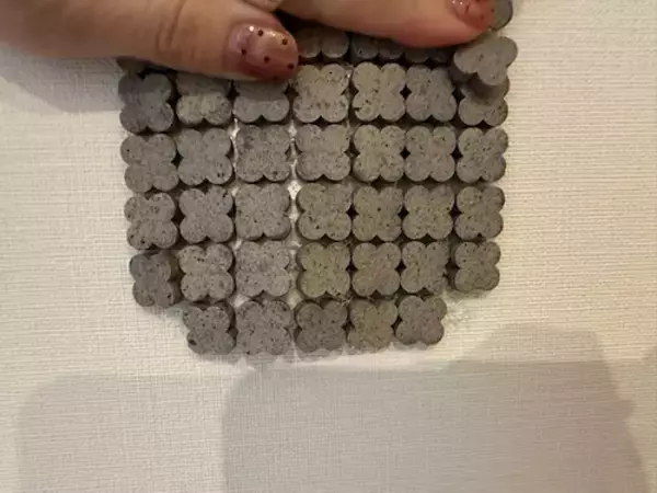 「あいのり・桃、想像と違いすぎた新居のタイルに衝撃＆落胆」の画像