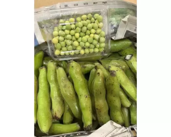 「研ナオコ、伊豆の親戚から届いた“旬の味覚”に感謝」の画像