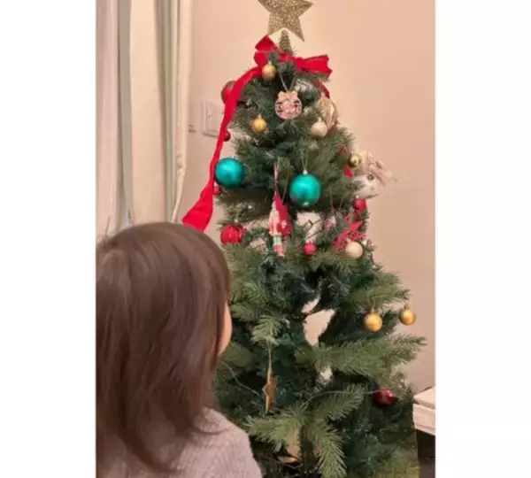 安めぐみ、10歳長女＆１歳次女“クリスマス気分”な姿公開